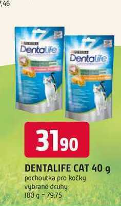 Trefa Dentalife cat 40 g pochoutka pro kočky nabídka
