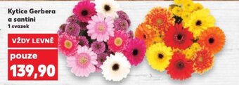 Kaufland Kytice Gerbera a santini nabídka
