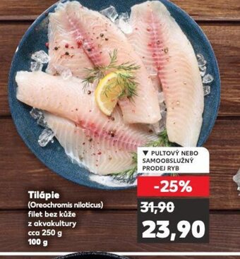 Tilápie (Oreochromis niloticus)