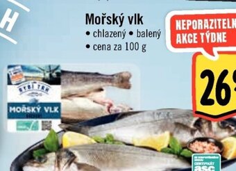 Albert Mořský vlk nabídka