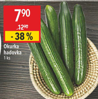 Globus Okurka hadovka nabídka