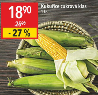 Globus Kukuřice cukrová klas nabídka