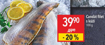 Globus Candát filet s kůží 100 g nabídka
