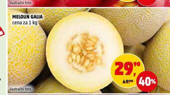 Penny Market Meloun galia nabídka