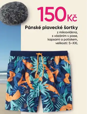 Pepco Pánské plavecké šortky nabídka