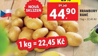Lidl BRAMBORY RANÉ nabídka