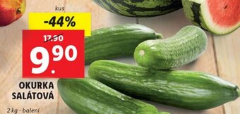 Lidl OKURKA SALÁTOVÁ nabídka