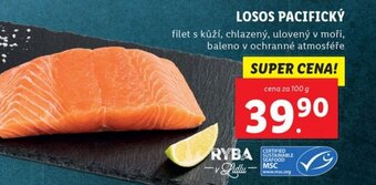 Lidl LOSOS PACIFICKÝ nabídka
