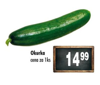 Qanto Okurka cena za 1ks nabídka