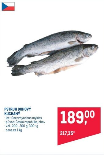 Makro PSTRUH DUHOVÝ KUCHANÝ nabídka