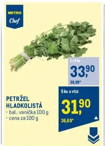 PETRŽEL HLADKOLISTÁ