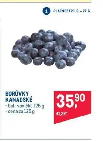 Makro BORŮVKY KANADSKÉ nabídka