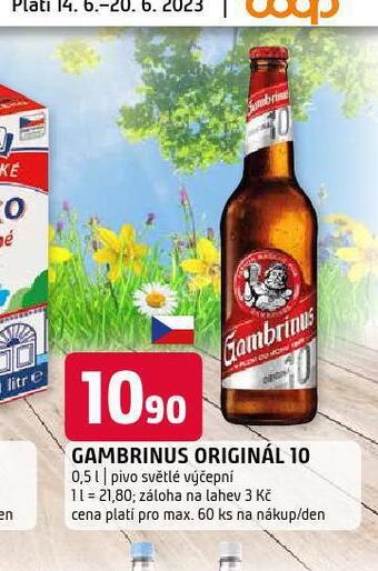 Terno Pivo gambrinus originál nabídka