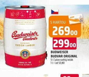 Terno Pivo budweiser budvar original nabídka