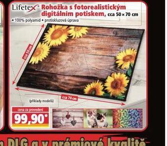 Norma Rohožka nabídka