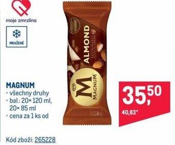 Makro MAGNUM nabídka