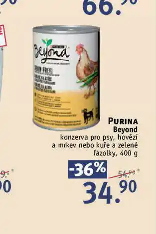 Rossmann Purina beyond kon zerva pro psy nabídka