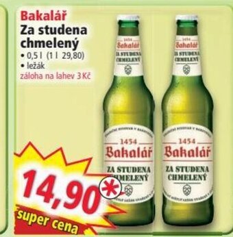 Bakalář Za studena chmelený