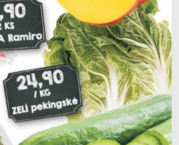 Jip / KG ZELI pekingské nabídka