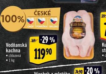 Albert Vodňanská kachna nabídka