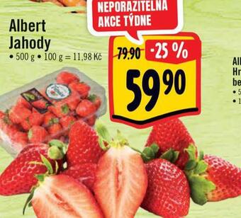 Albert Albert jahody nabídka