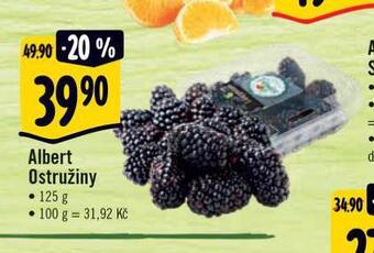 Albert Ostružiny nabídka