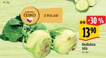 Albert Kedlubna nabídka