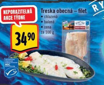 Albert Treska obecná nabídka