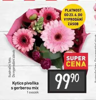 Billa Kytice pivoňka s gerberou mix 1 svazek nabídka