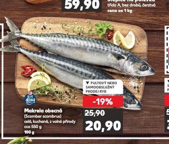 Kaufland Makrela obecná nabídka