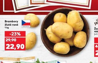 Kaufland Brambory žluté rané nabídka