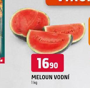 Terno Meloun vodní nabídka