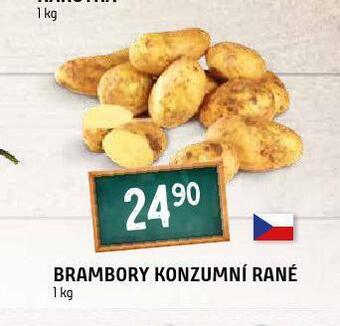 Terno Brambory konzumní rané nabídka