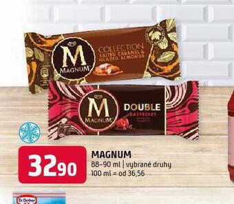 Terno Zmrzlina magnum nabídka