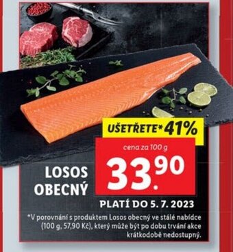 Lidl LOSOS OBECNÝ nabídka
