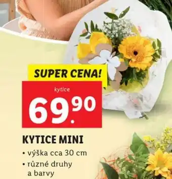 Lidl KYTICE MINI nabídka