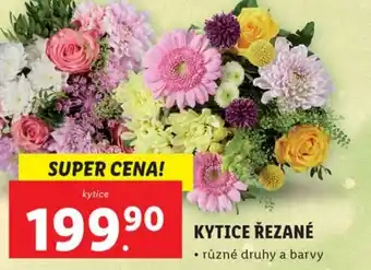 Lidl KYTICE ŘEZANÉ nabídka
