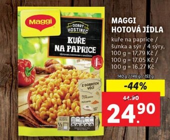Lidl MAGGI HOTOVÁ JÍDLA nabídka