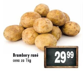 Qanto Brambory rané nabídka