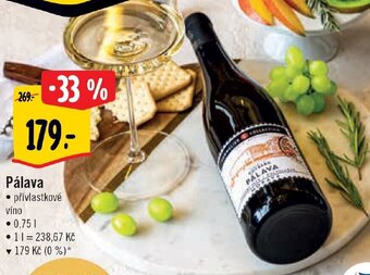 Albert Pálava nabídka