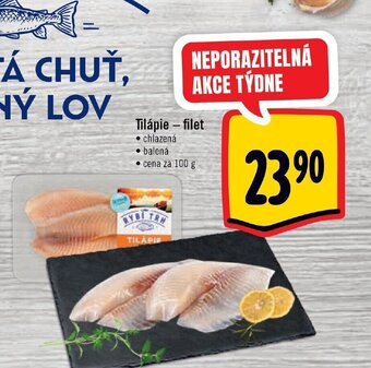 Albert Tilápie - filet nabídka