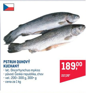 Makro PSTRUH DUHOVÝ KUCHANÝ nabídka
