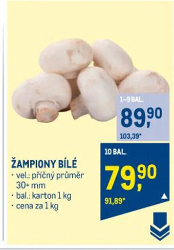 Makro ŽAMPIONY BÍLÉ nabídka