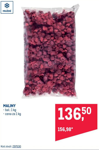 Makro MALINY nabídka