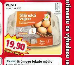 Norma Vejce l 6 ks nabídka