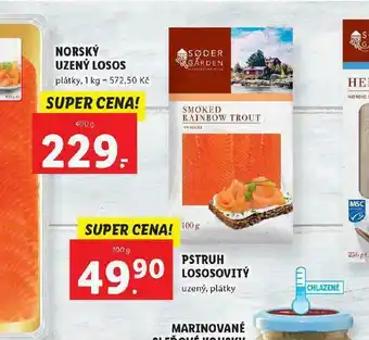 Lidl Pstruh lososovitý nabídka