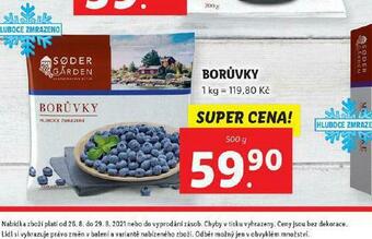 Lidl Borůvky nabídka