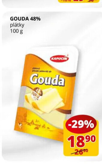 Flop GOUDA 48% plátky 100 g nabídka