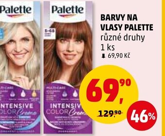 Penny Market BARVY NA VLASY PALETTE nabídka