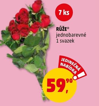 Penny Market RŮŽE** nabídka